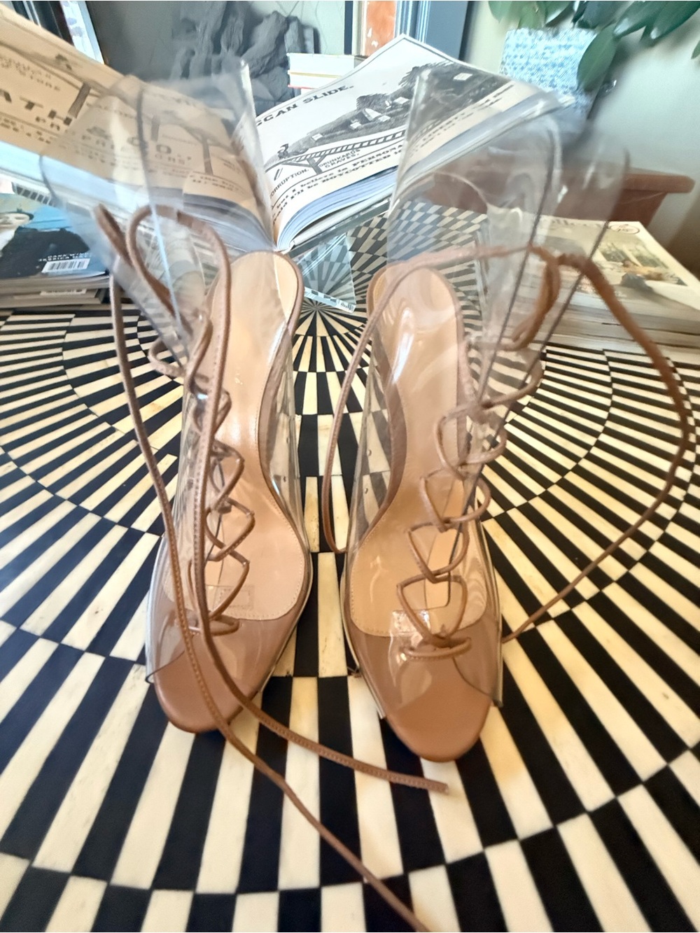 Gianvito Rossi Clear PVC Lace-Up Heels in Nude